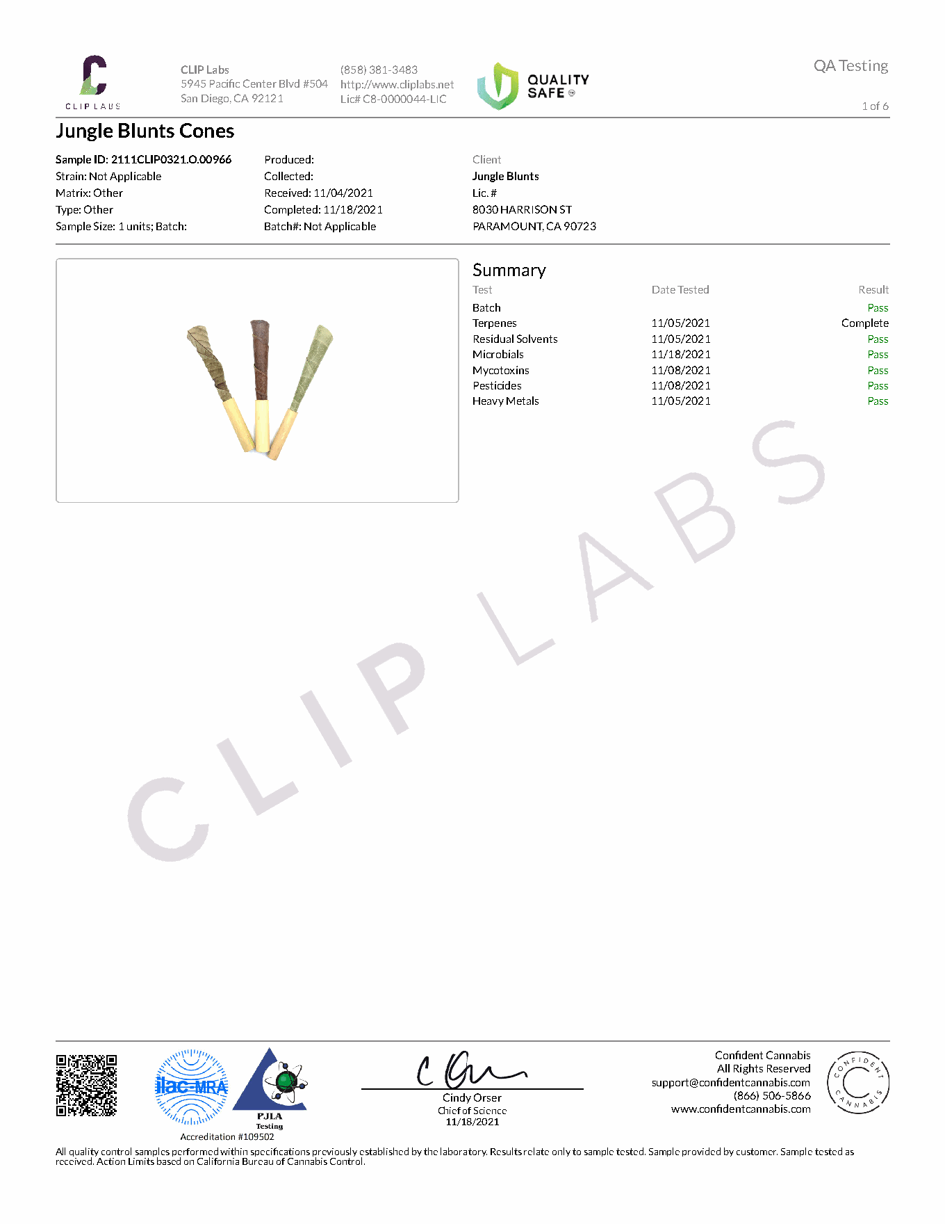 Preview of the CLIP Labs report for Jungle Blunts Cones