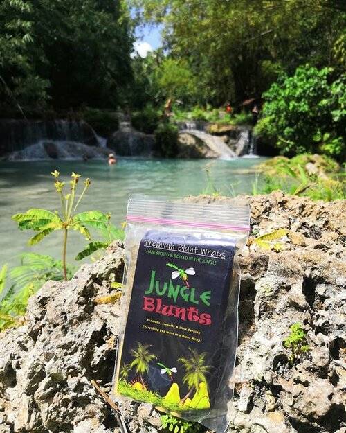 Blunt Wrap Distribution Samples & Starter Kits 4 Blunt Wraps Variety Pack β 10 x 4β³ Wraps β image 3
